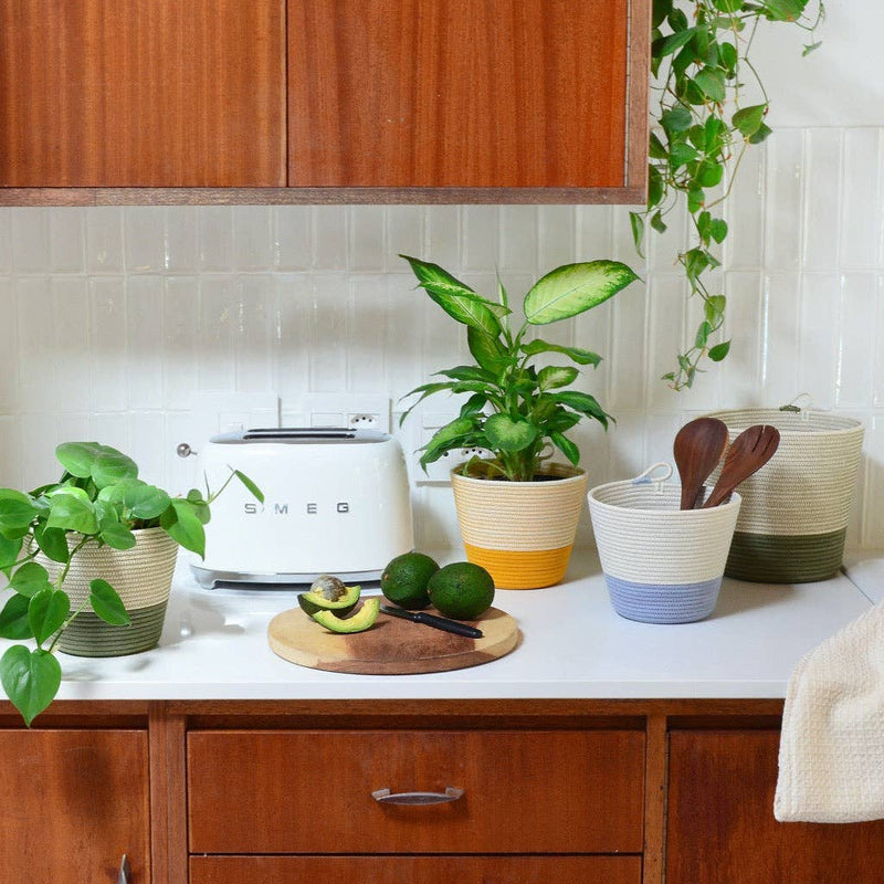 Planter | Mustard. Holds 6in Plant