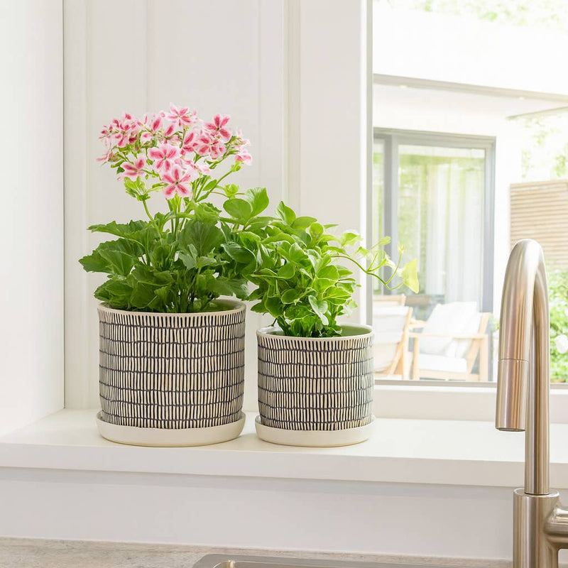 Ceramic Line Saucer Planter Pot| 6in - 7.5in