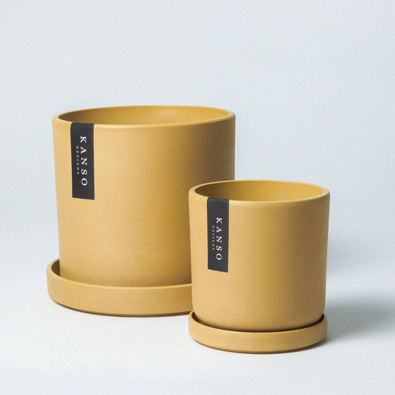 Mustard Seed & Dusted Clay  | Holds 4” & 7”