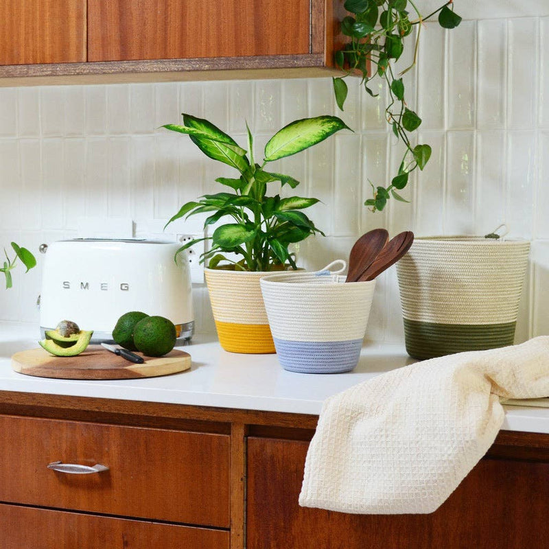 Planter| Blue . Holds 6in Plant