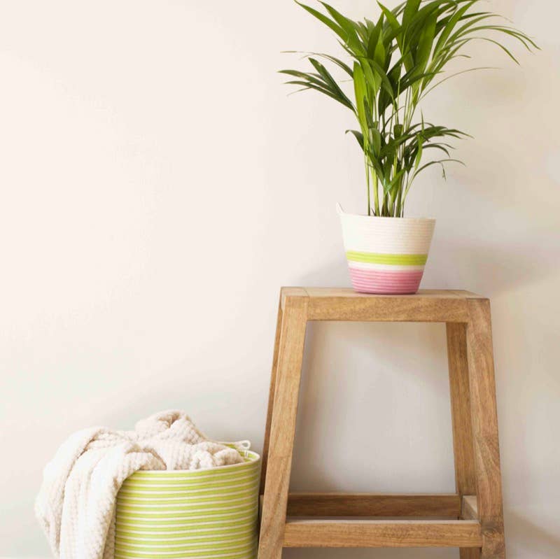 Planter |Strawberry Pink . Holds 6in Plant