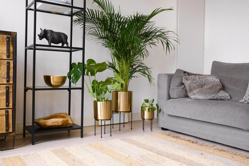 Planter | Set with Black Stand