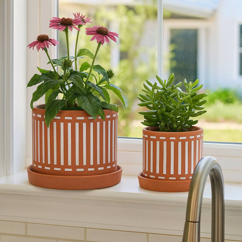 Ceramic Cutout Saucers Planters | 6in - 8in.