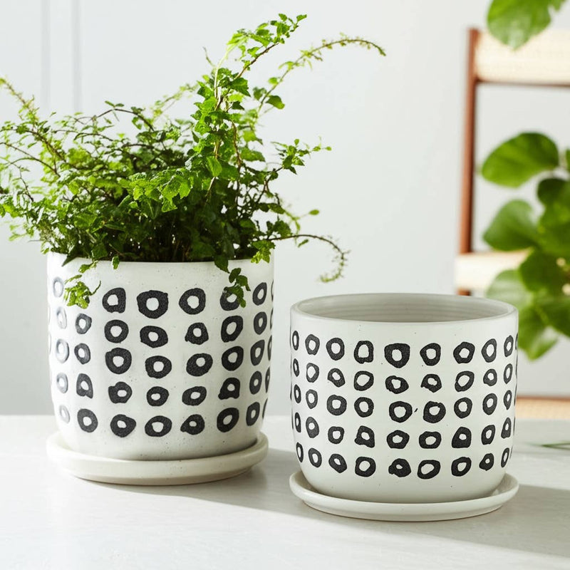 Ceramic Aztec Saucer Planters | 5in - 6in.