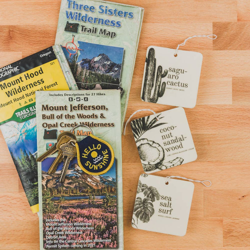 Car Freshener | 2 Fragances