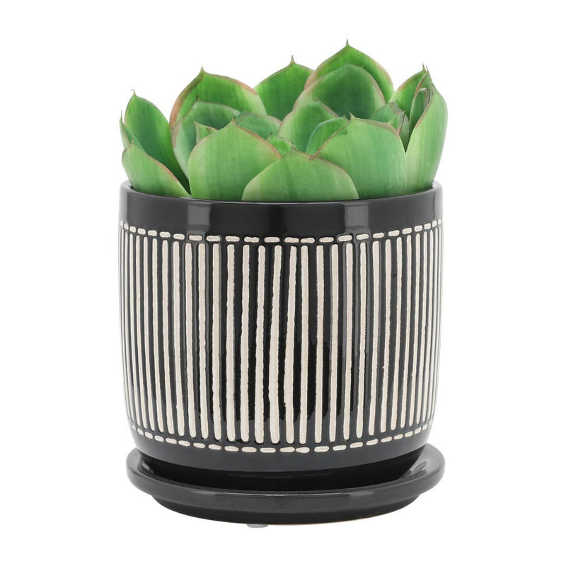 Ceramic Lines Saucer Planter | 4.5in-6in.