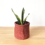 Canyon |Various size available