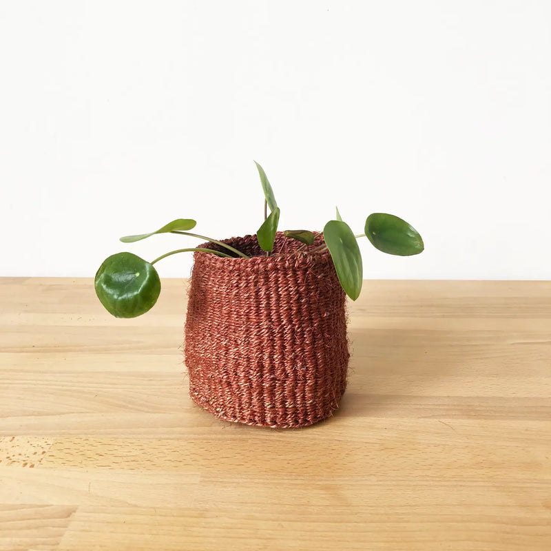 Canyon |Various size available