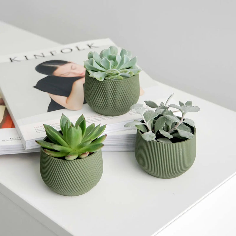 Recycled Planter & 3D Printed   | Mini