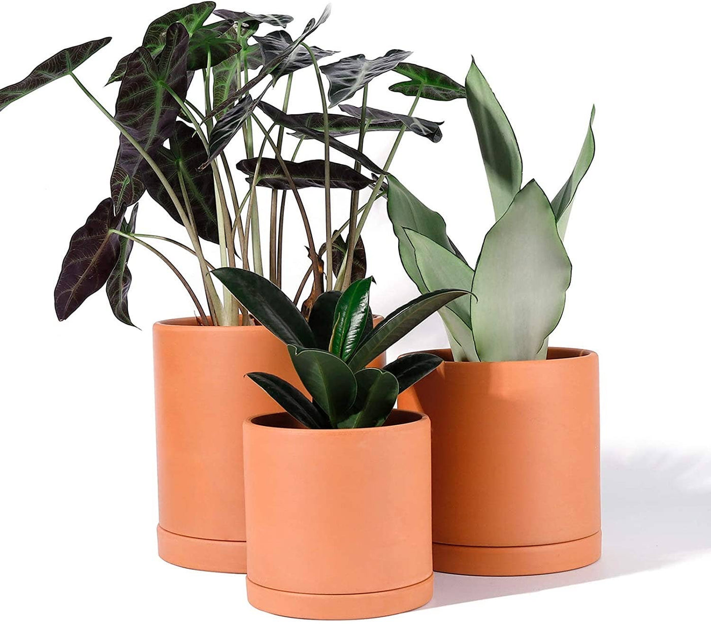 Terracota Pots
