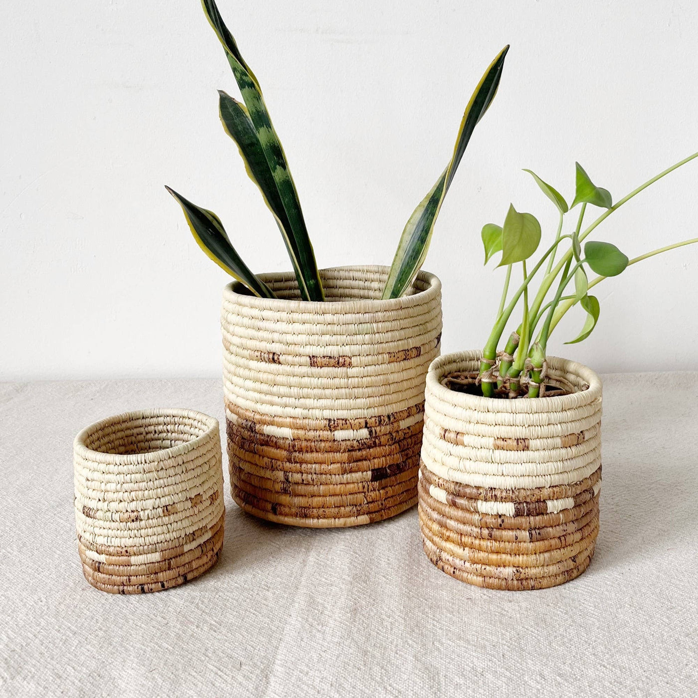 Plant Handmade Baskets