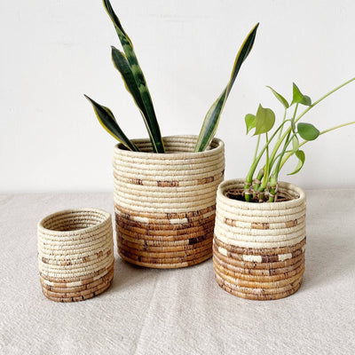 Plant Handmade Baskets