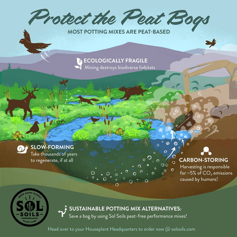 Soil| Succulent Gritty Mix.2Qt