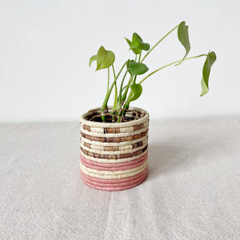 Storage Plant Basket: Arabuko