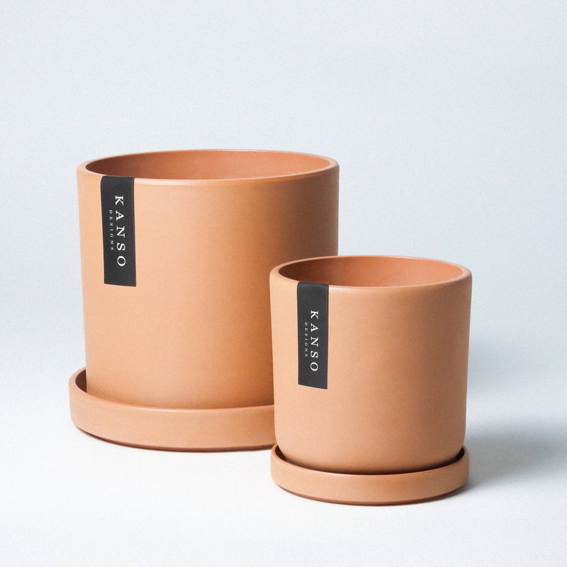 Mustard Seed & Dusted Clay  | Holds 4” & 7”
