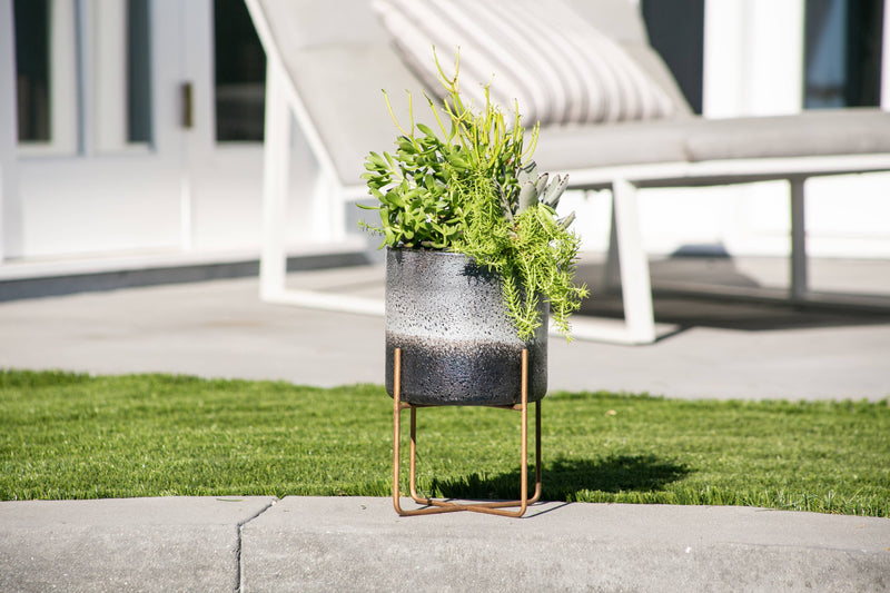 Planter | Glass - Holds 8” Plant