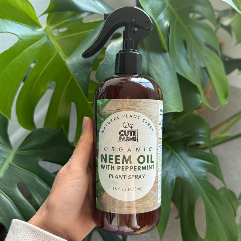 Plant Care | Organic Neem Oil with Peppermint