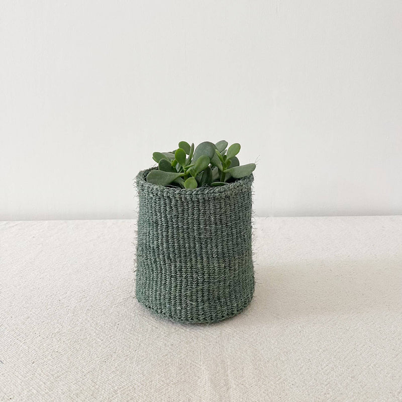 Storage Plant Basket: Sea Glass