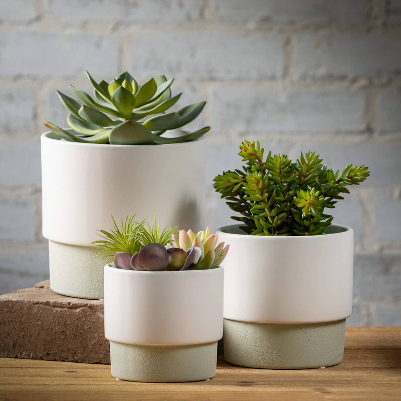 Planter | Holds 4” - 5” - 6” Plants