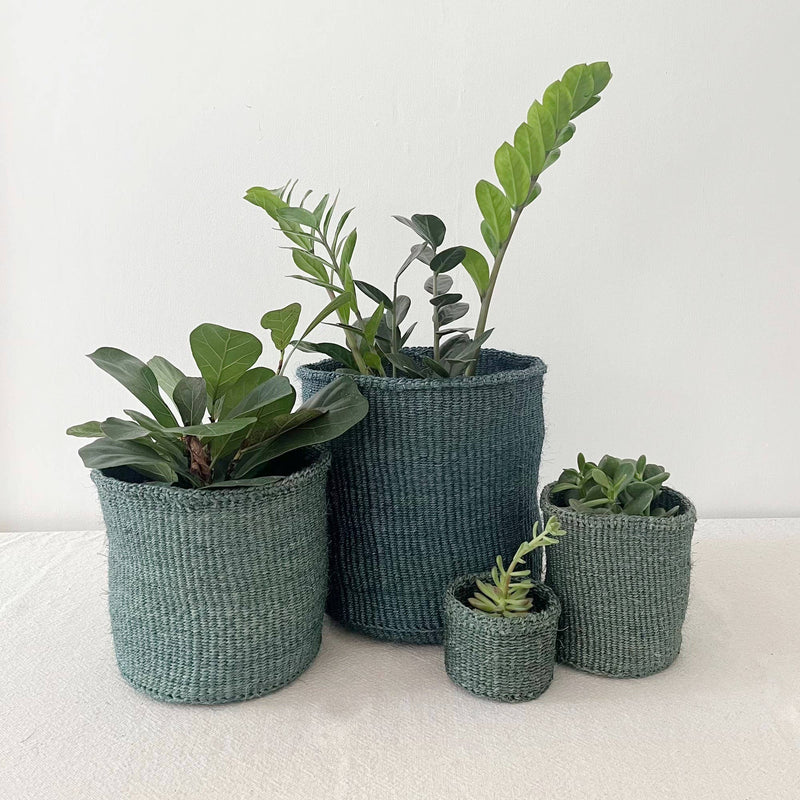 Storage Plant Basket: Sea Glass