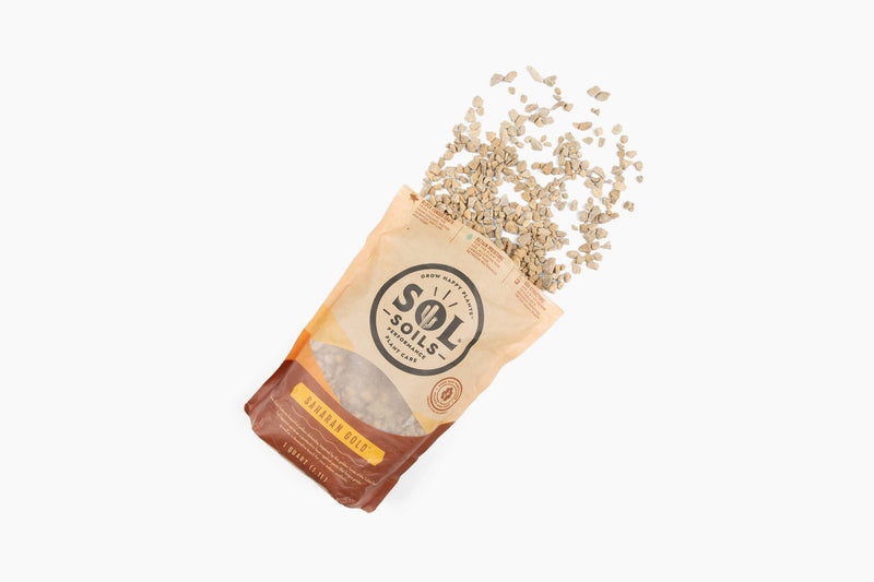 Topper | Saharan Gold. 1Qt