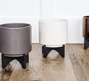 Planter: Cylinder with Wood Stand-Lucent