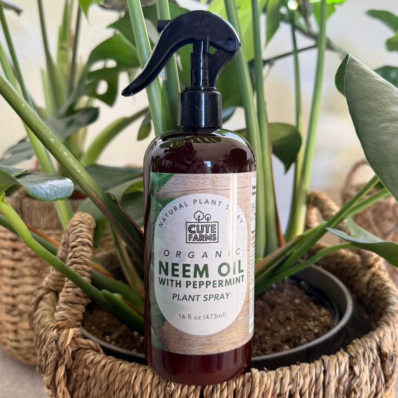 Plant Care | Organic Neem Oil with Peppermint