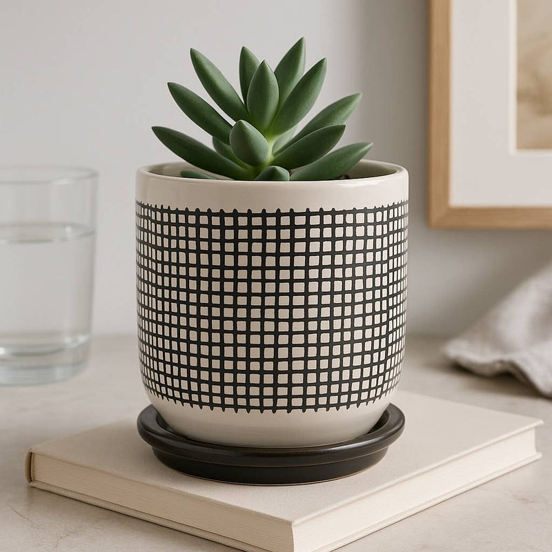 Ceramic Mesh Design Planter Pot with Saucer | 6 in.