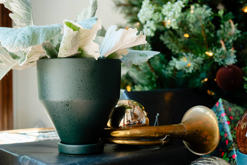 Timeless Pot | 10.5" High Quality Ceramic Pot