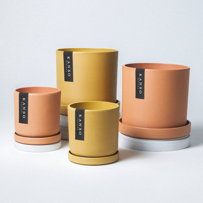 Mustard Seed & Dusted Clay  | Holds 4” & 7”