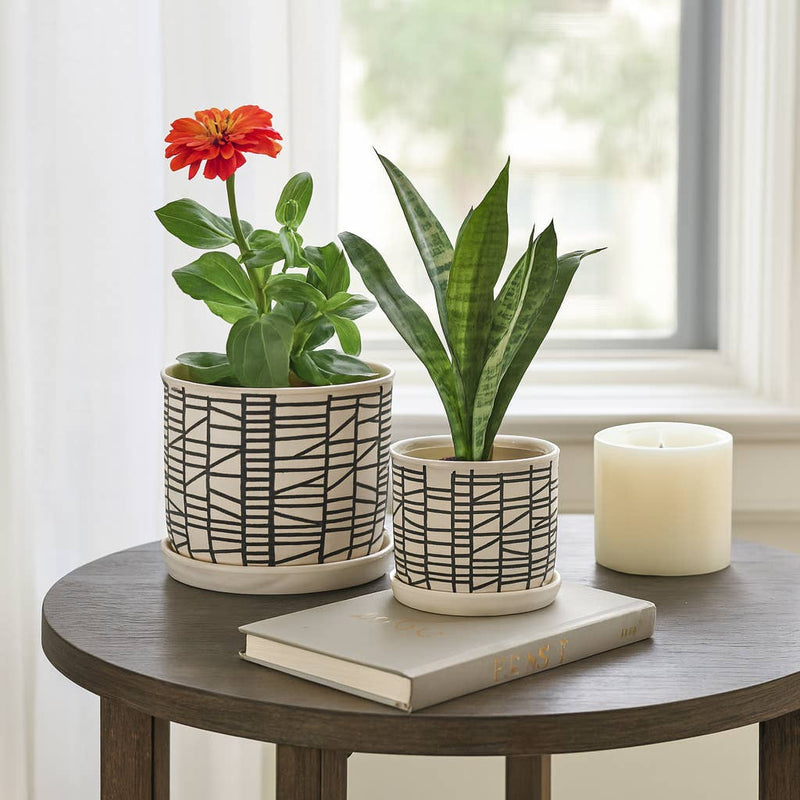 Ceramic Geometric Saucer Planters | 6in - 8in