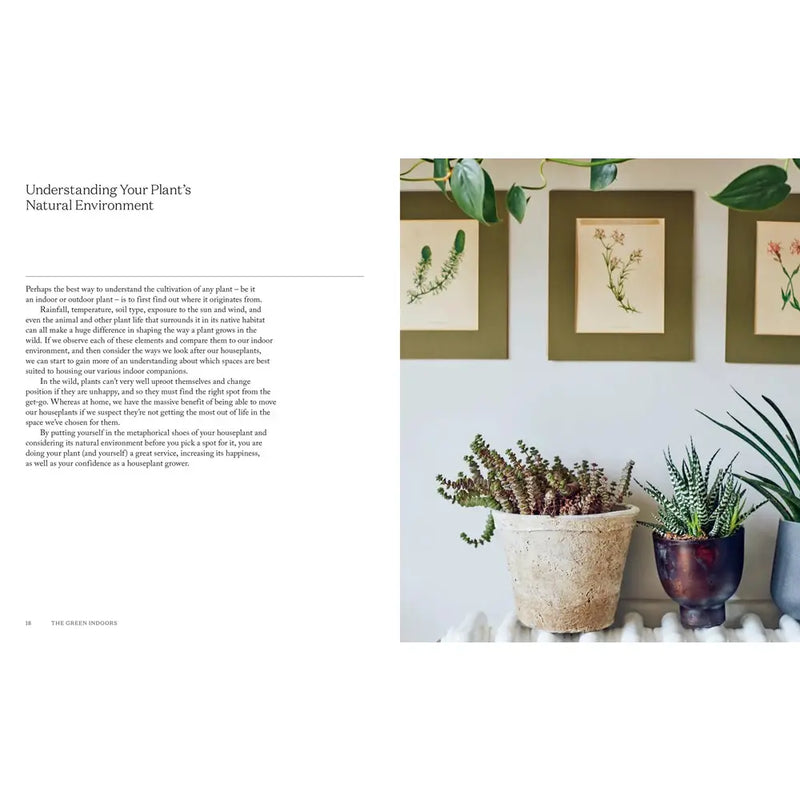 The Green Indoors Plant Book