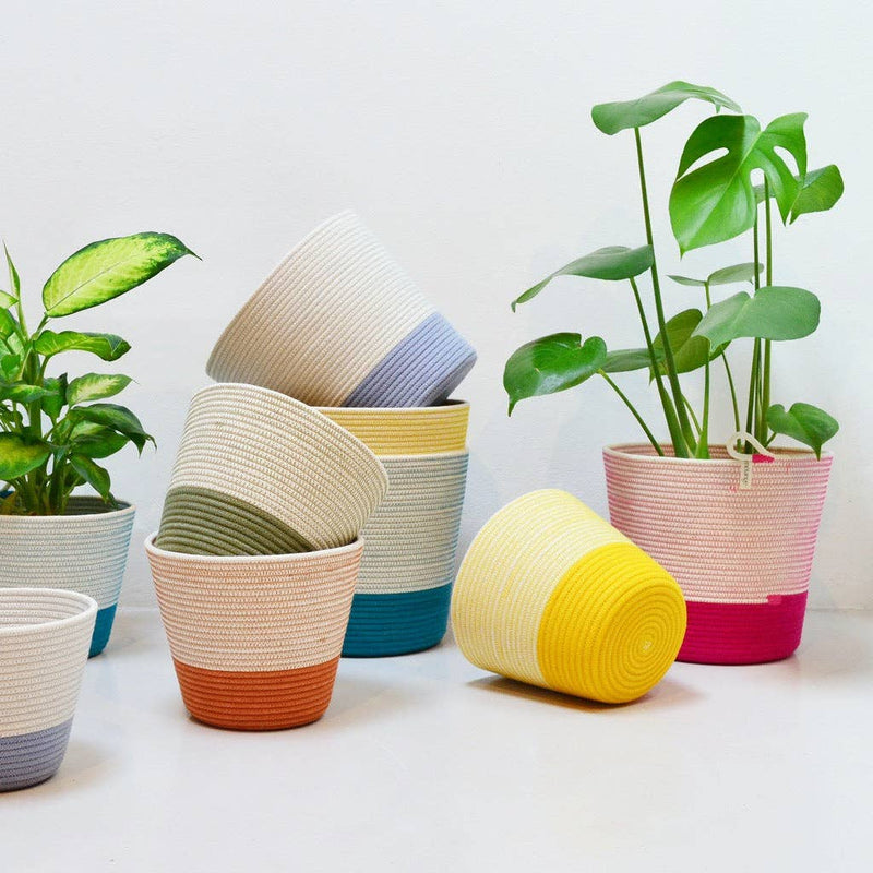 Planter | Olive . Holds 6in Plant