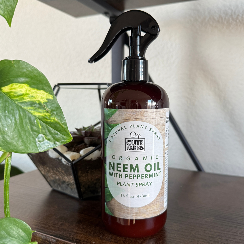 Plant Care | Organic Neem Oil with Peppermint