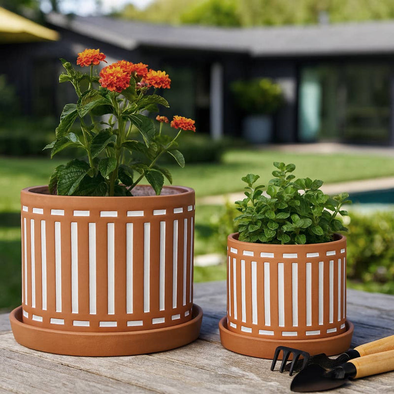 Ceramic Cutout Saucers Planters | 6in - 8in.