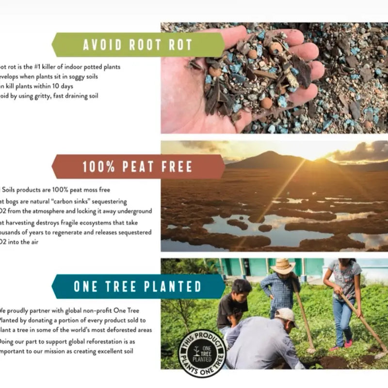 Soil | Aroid & Tropical Mix . 1 Gal