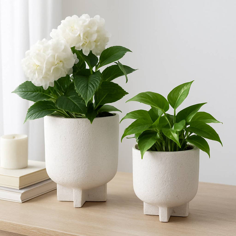 Cement Modern Footed Planters | 5.5in - 8in