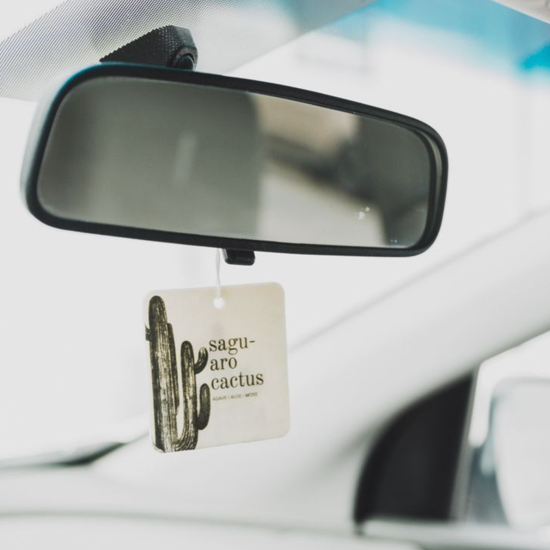 Car Freshener | 2 Fragances