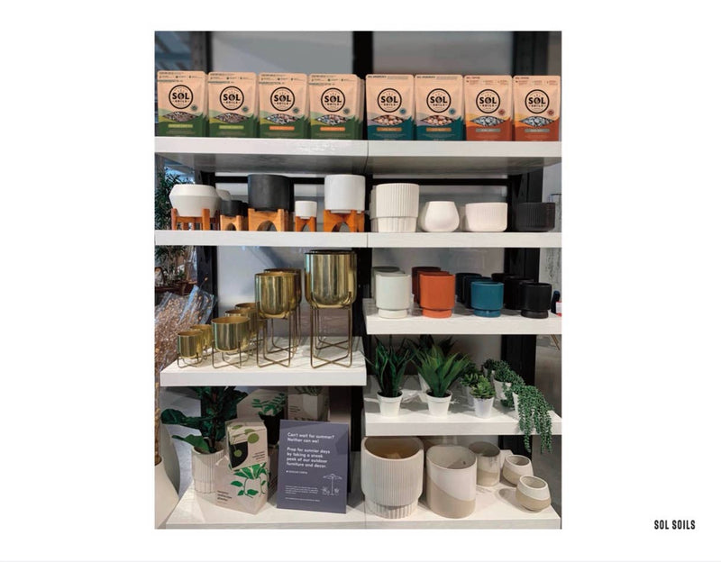 Soil| Succulent Gritty Mix.2Qt