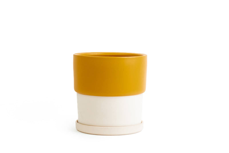 Timeless Pot | 12.5” Calyx Pots w/Water Saucers
