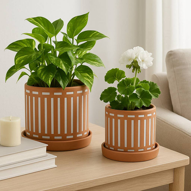 Ceramic Cutout Saucers Planters | 6in - 8in.