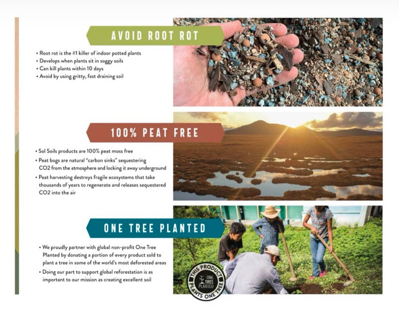 Soil| Succulent Gritty Mix.2Qt