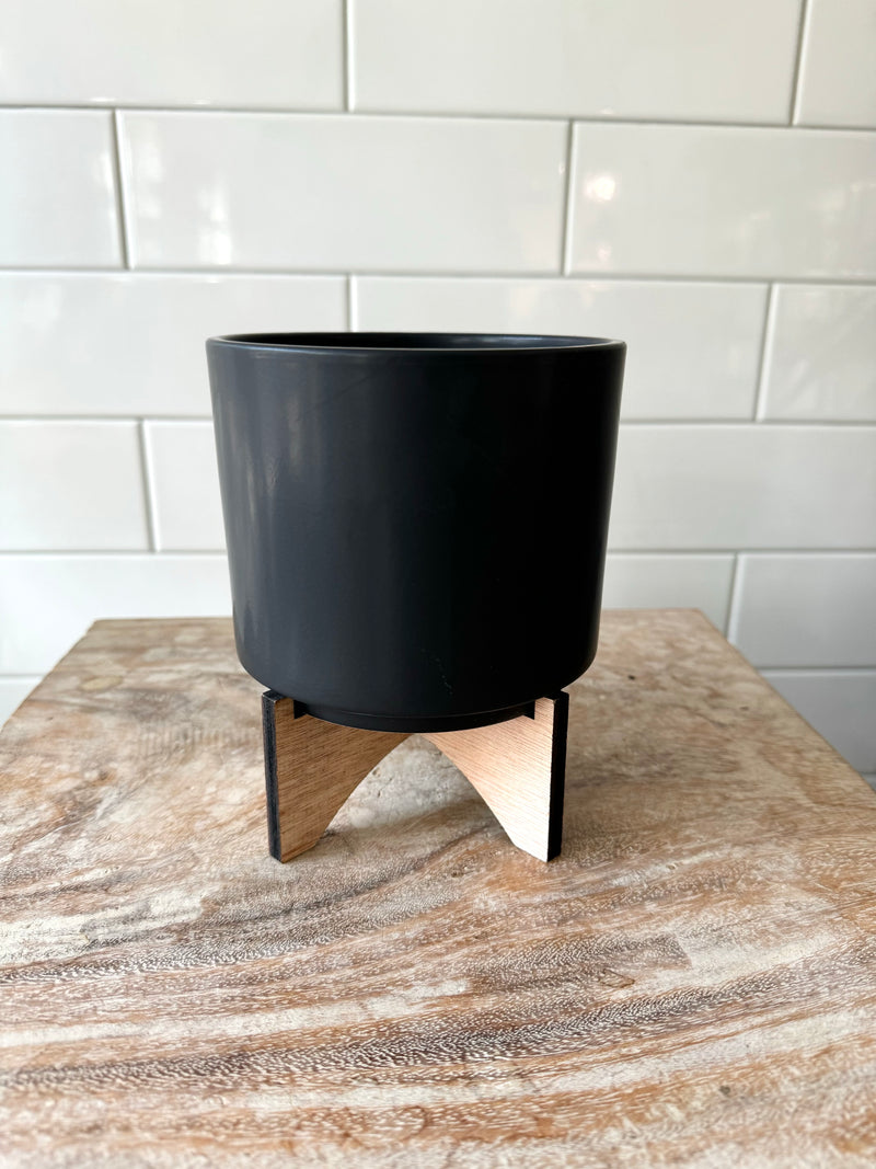 Planter: Cylinder with Wood Stand