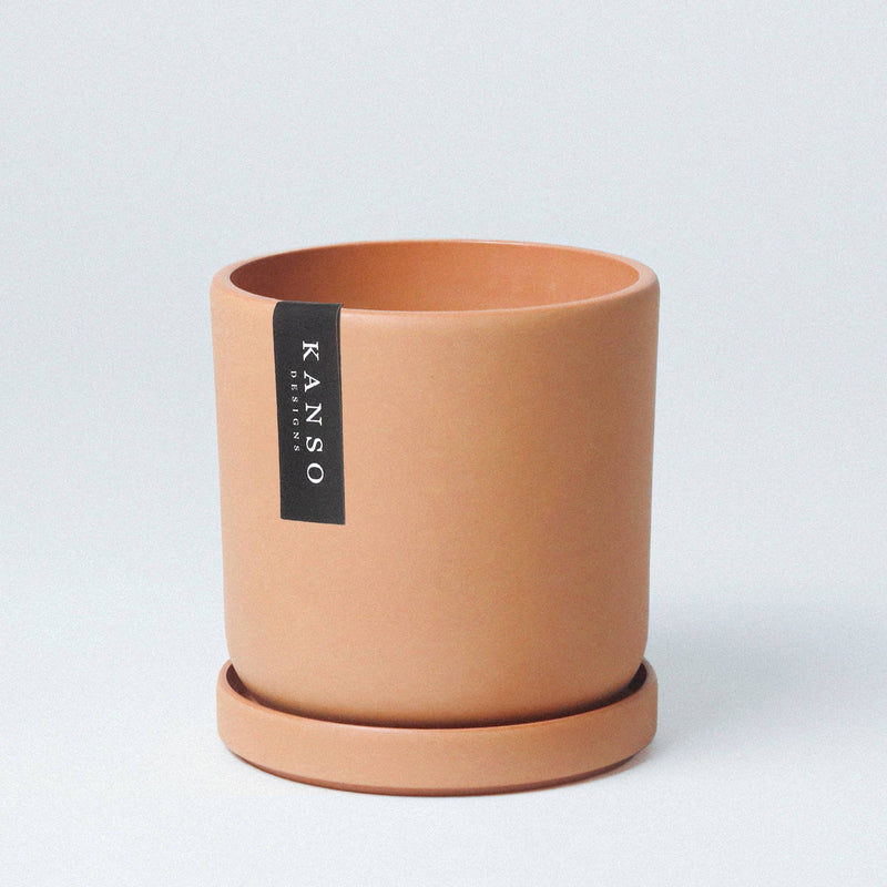 Mustard Seed & Dusted Clay  | Holds 4” & 7”