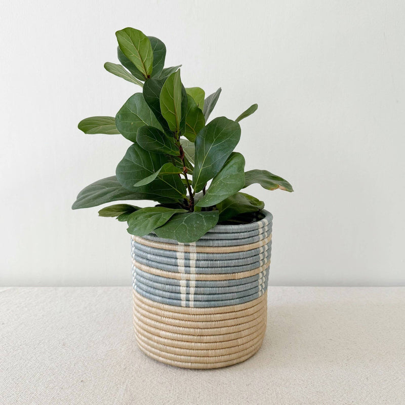 Byumba | Storage Plant Basket