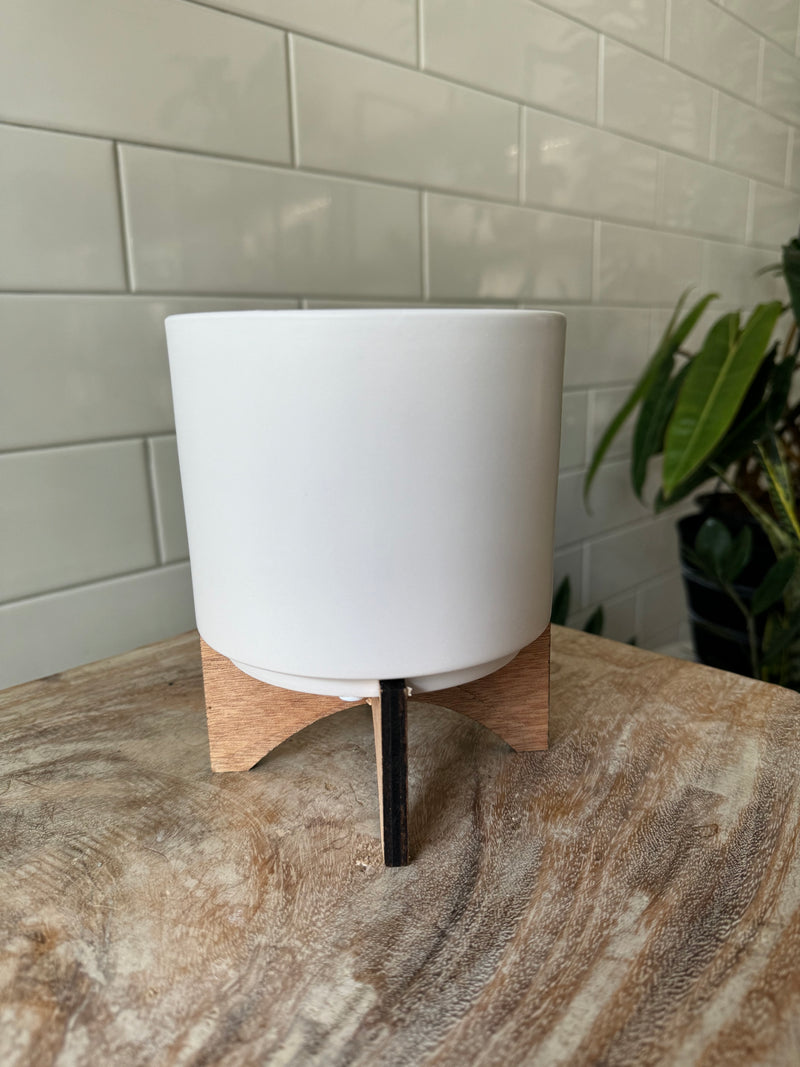 Planter: Cylinder with Wood Stand