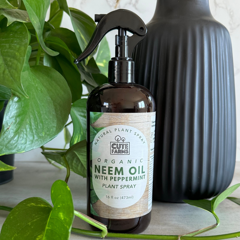 Plant Care | Organic Neem Oil with Peppermint