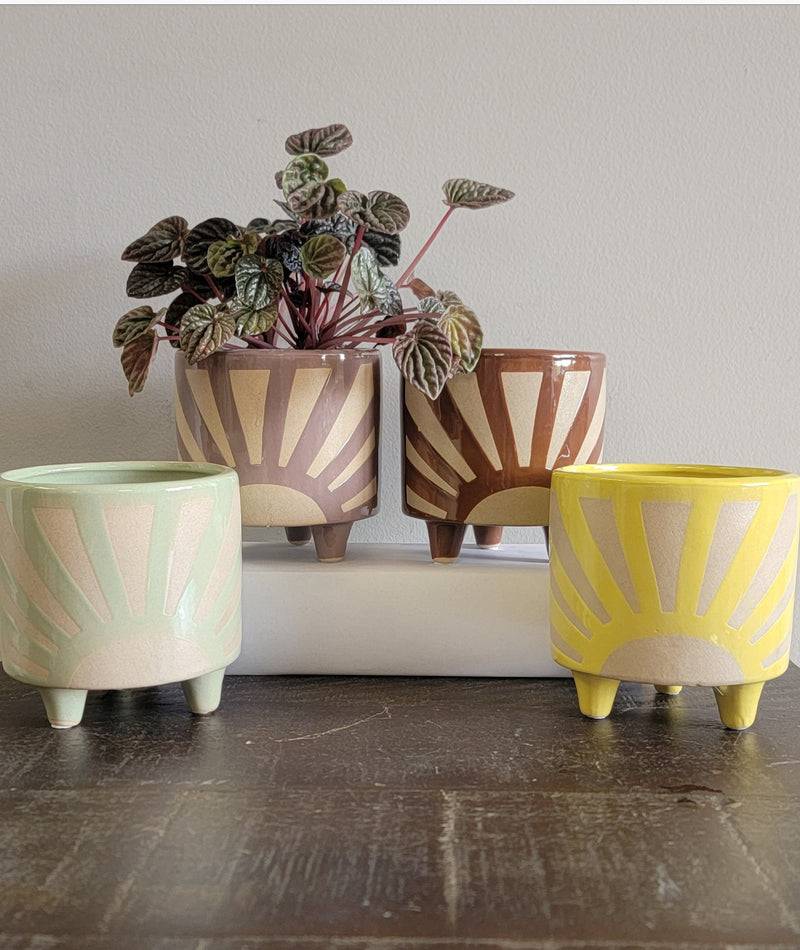 Starburst Planter | Holds 4in Plant