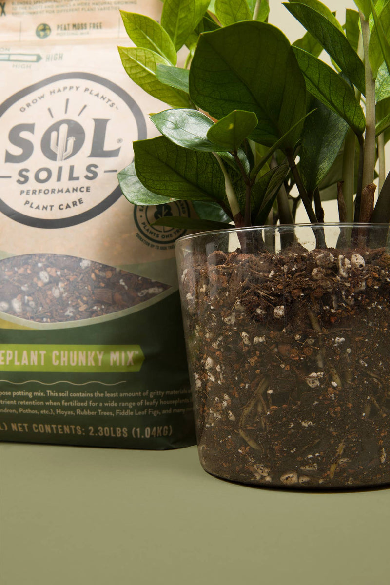 Soil | Aroid/Tropical Mix. 2Qt