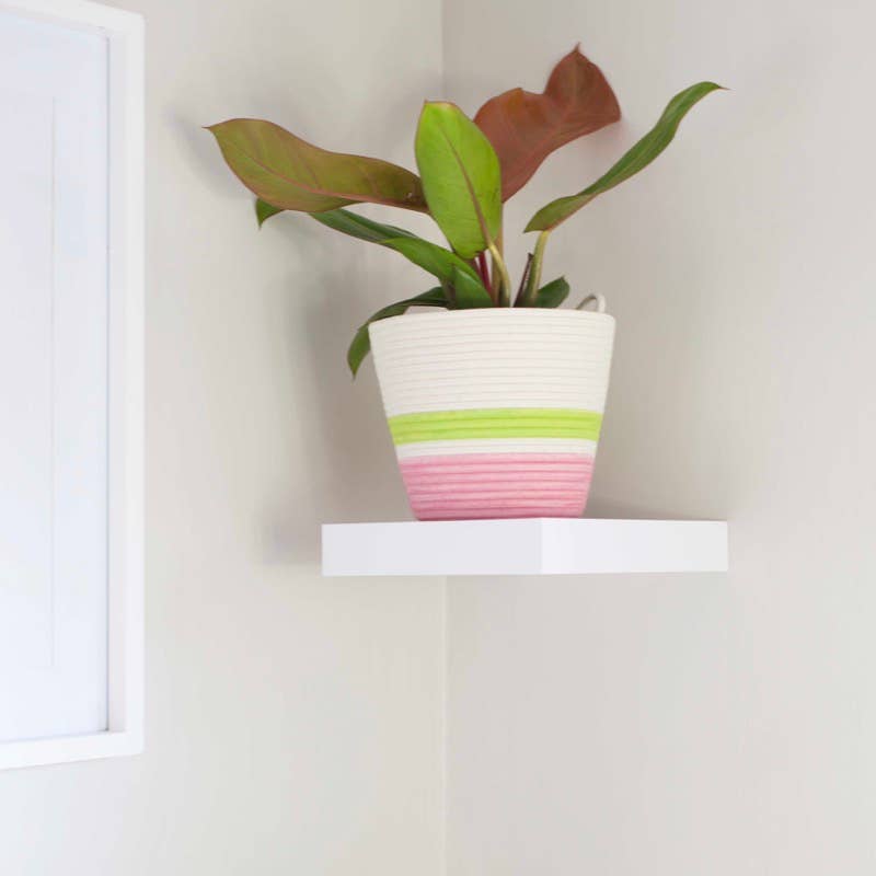 Planter |Strawberry Pink . Holds 6in Plant
